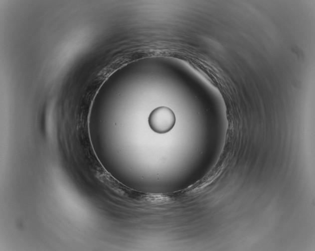 X0000111520429200907141511