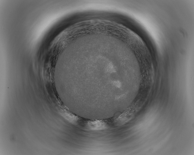 X0000111520431200907141511