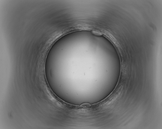 X0000111520433200907141511