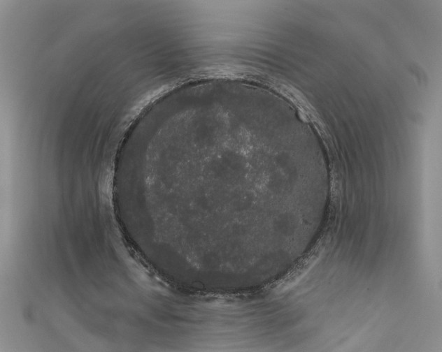 X0000111520434200907141511