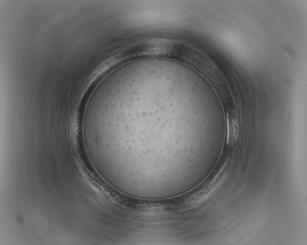 X0000111520435200907141511