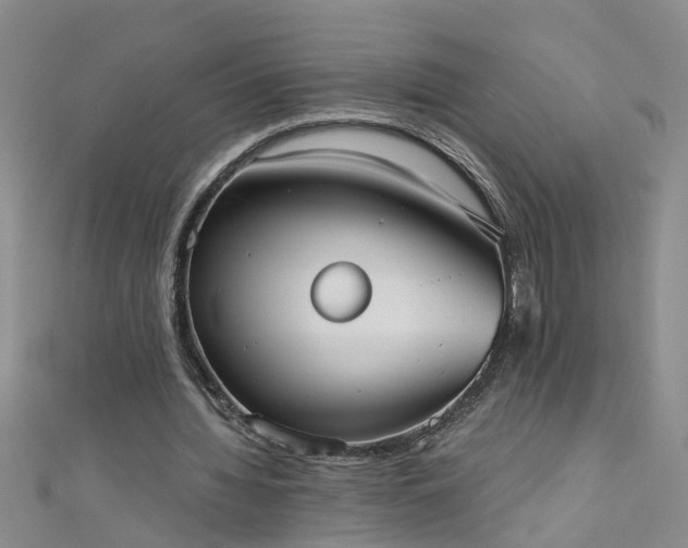 X0000111520436200907141511