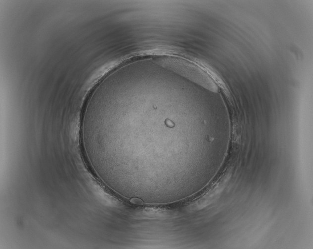 X0000111520437200907141511