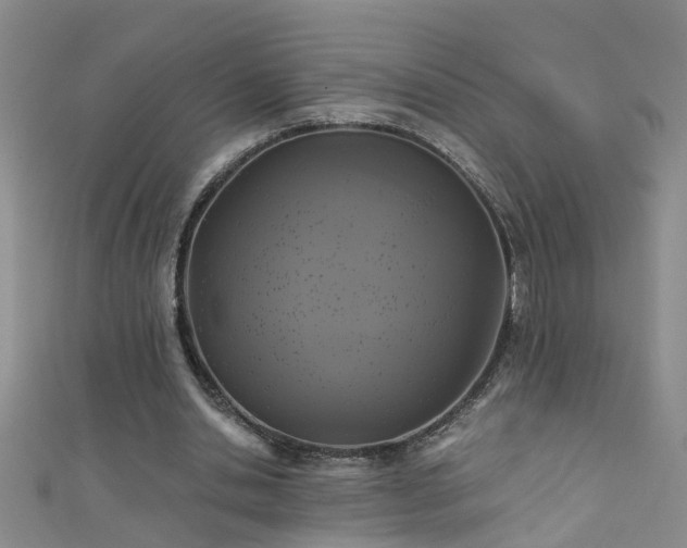 X0000111520438200907141511
