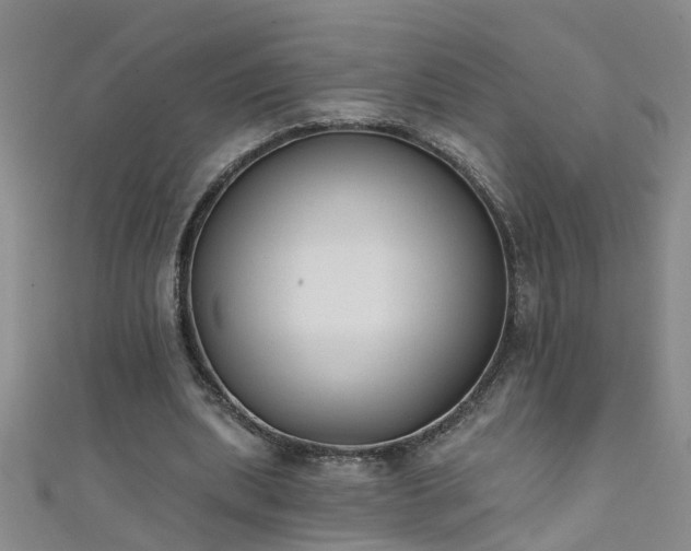 X0000111520439200907141511
