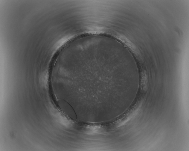 X0000111520440200907141511