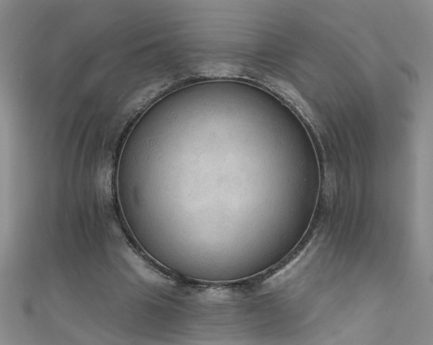 X0000111520441200907141511