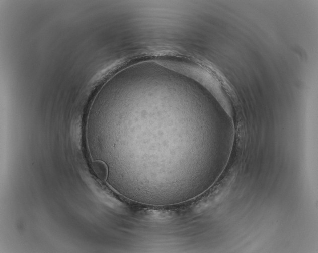 X0000111520442200907141511
