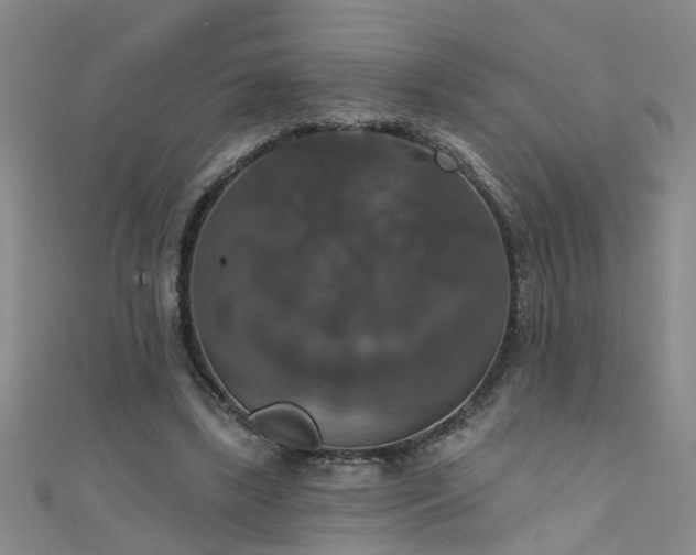 X0000111520443200907141511