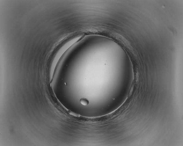 X0000111520444200907141511