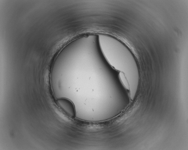 X0000111520445200907141511