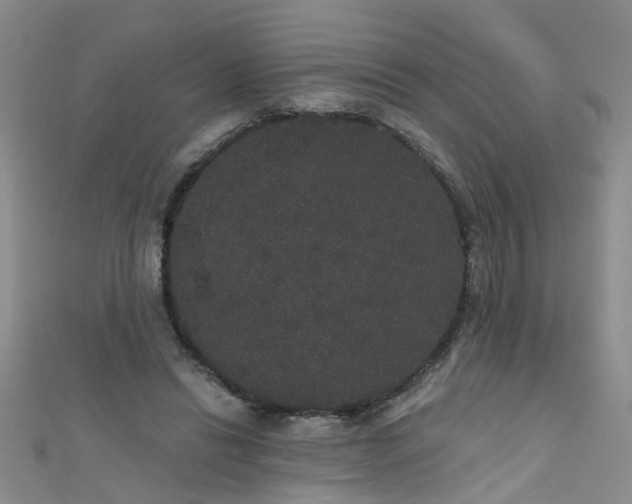 X0000111520446200907141511