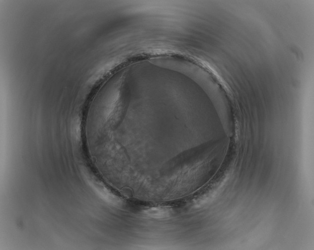 X0000111520447200907141511