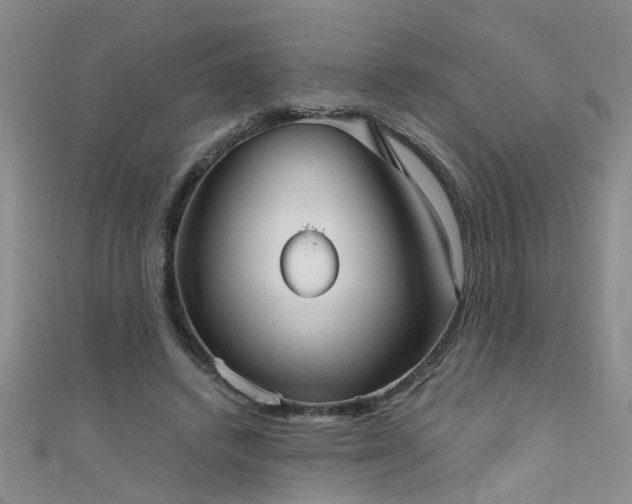 X0000111520448200907141511