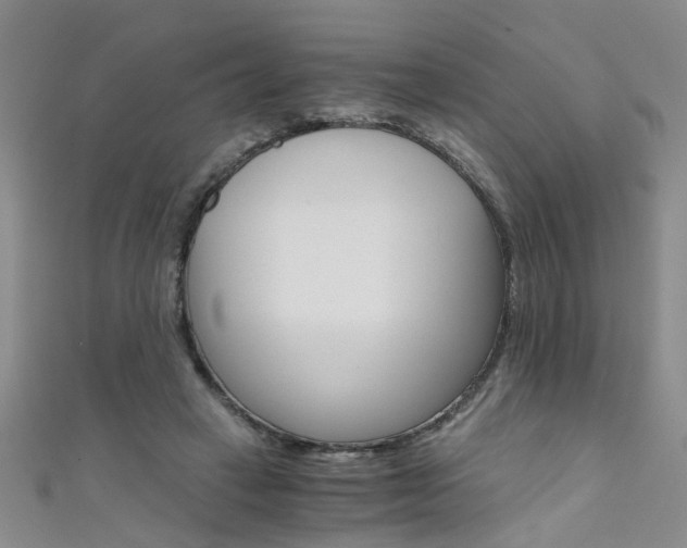 X0000111520449200907141511