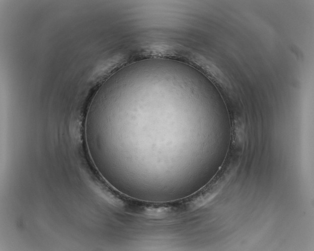 X0000111520450200907141511