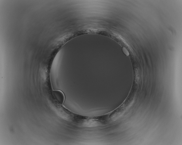 X0000111520451200907141511