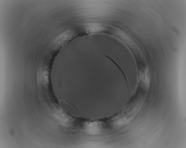 X0000111520452200907141511
