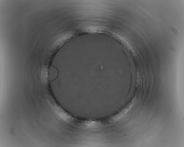 X0000111520453200907141511