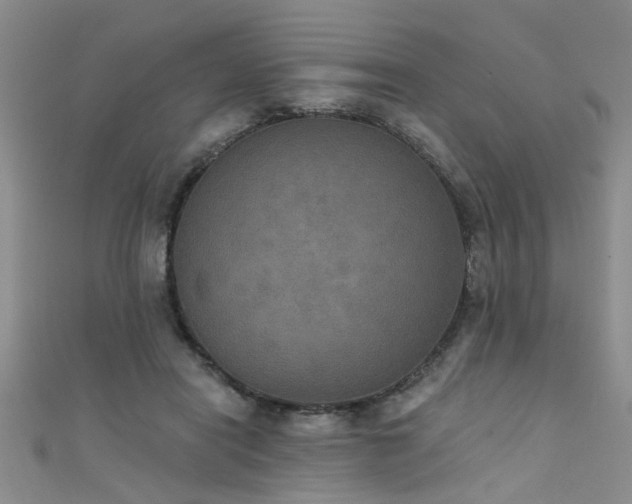 X0000111520454200907141511