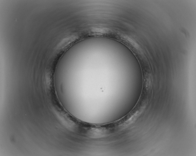 X0000111520455200907141511