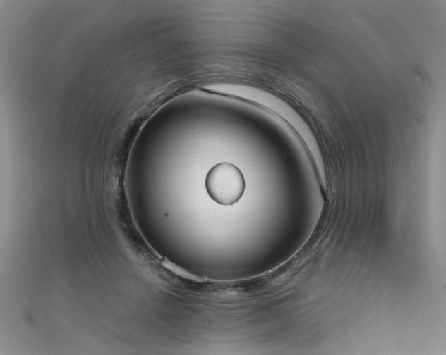 X0000111520456200907141511