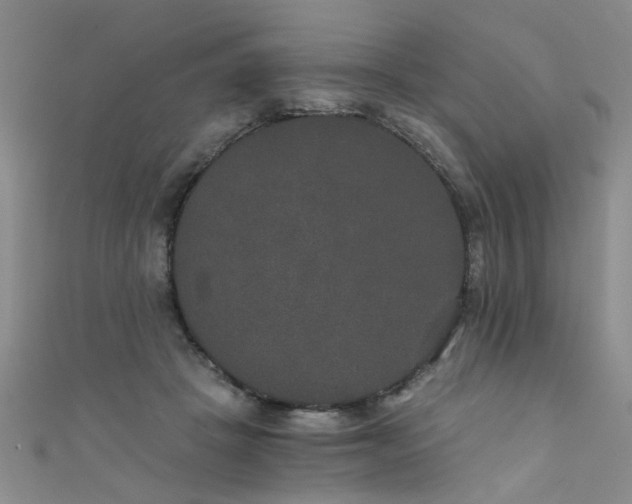 X0000111520457200907141511