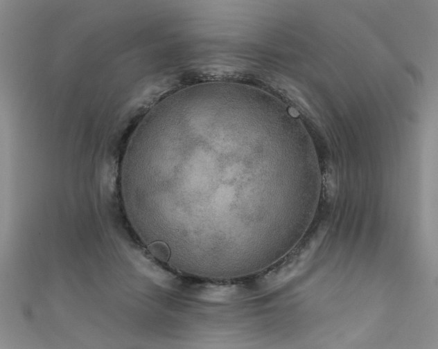 X0000111520458200907141511