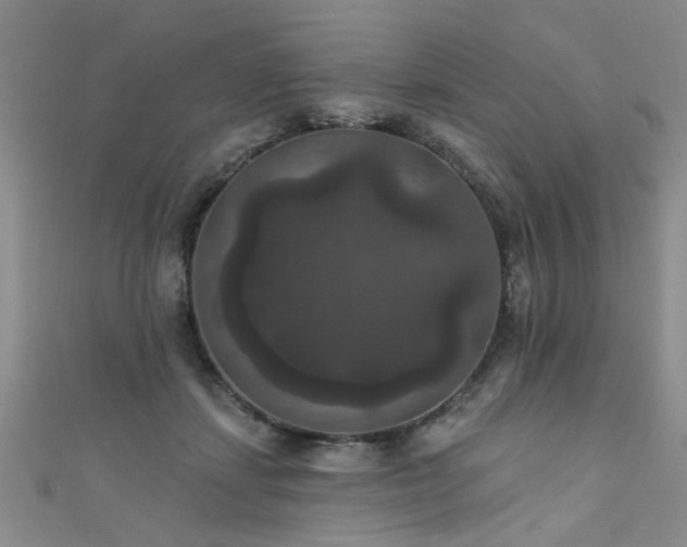 X0000111520459200907141511