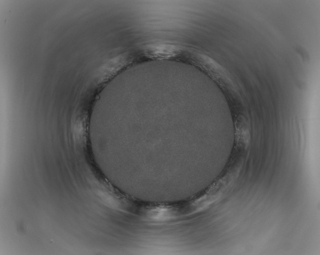 X0000111520460200907141511
