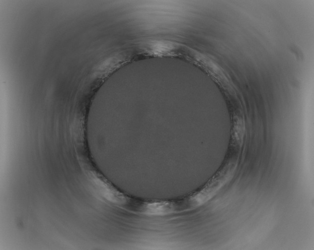 X0000111520461200907141511