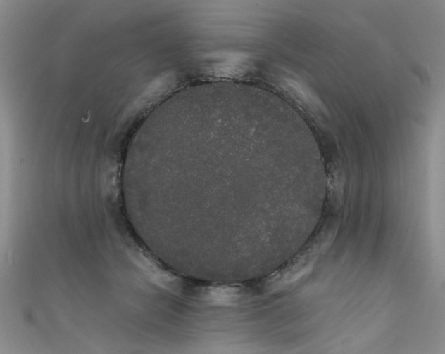 X0000111520462200907141511