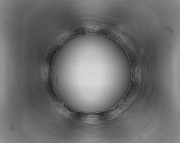 X0000111520463200907141511