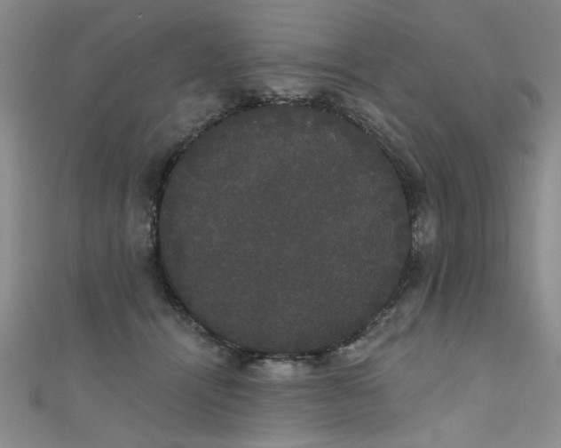 X0000111520464200907141511