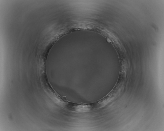 X0000111520465200907141511