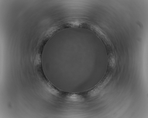 X0000111520467200907141511