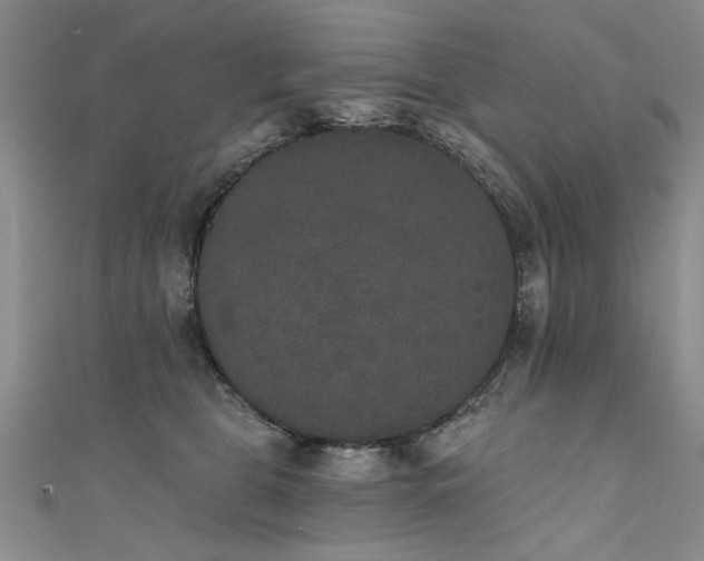 X0000111520469200907141511