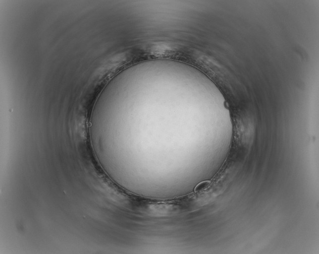 X0000111520470200907141511