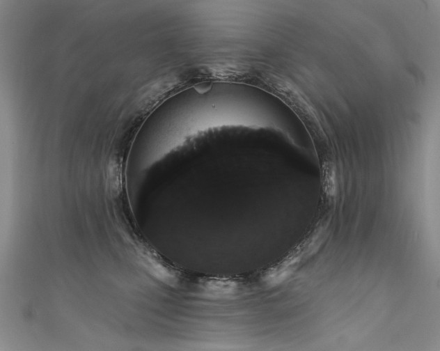 X0000111520471200907141511