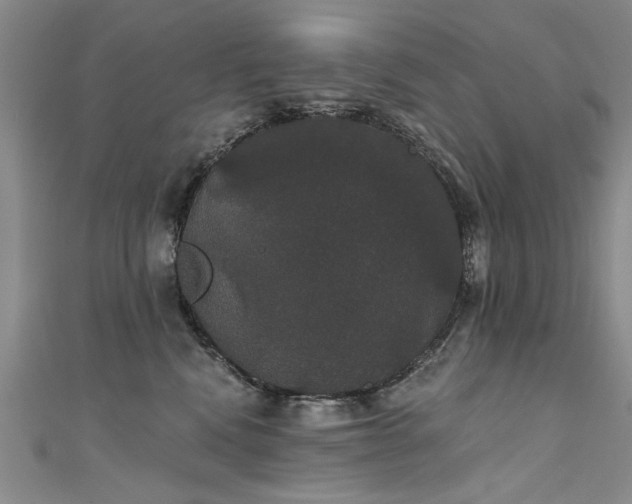 X0000111520472200907141511
