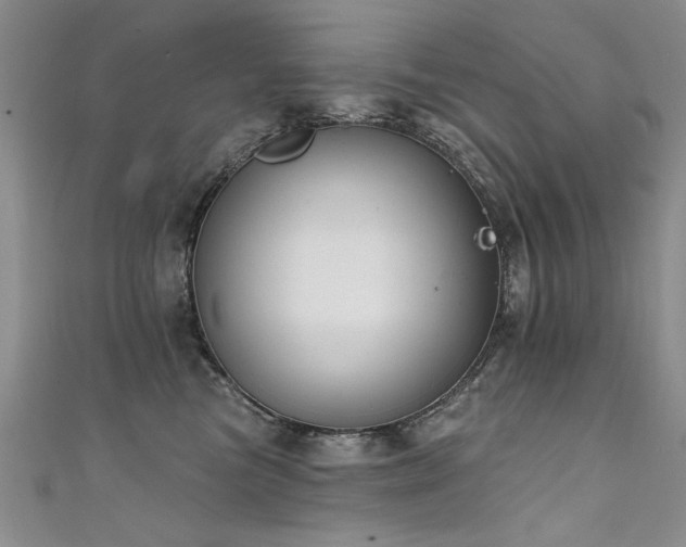 X0000111520473200907141511