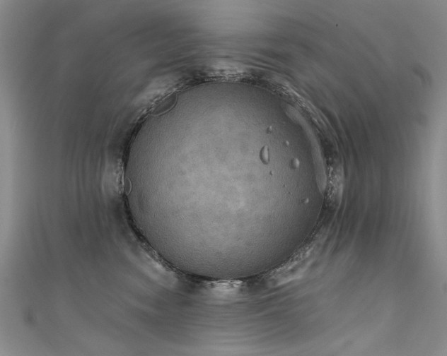 X0000111520474200907141511