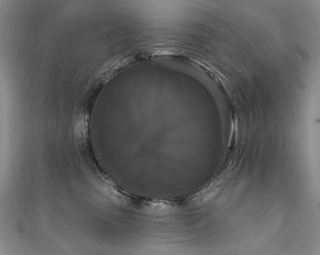 X0000111520475200907141511