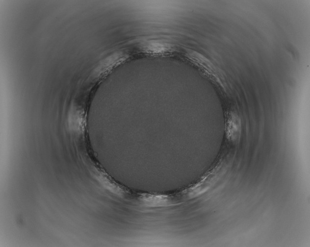 X0000111520476200907141511