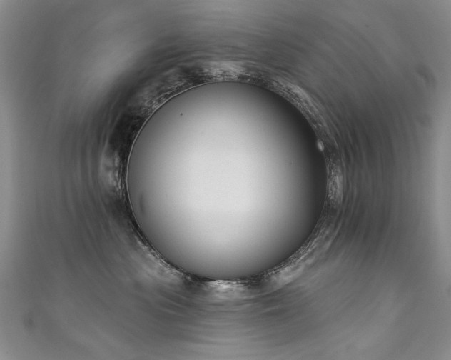 X0000111520477200907141511
