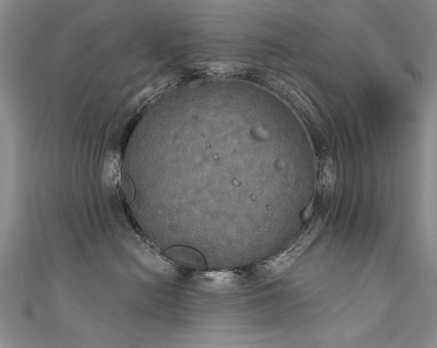 X0000111520478200907141511