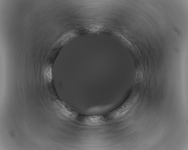 X0000111520479200907141511