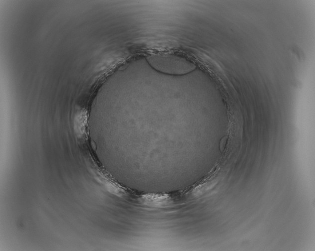 X0000111520480200907141511
