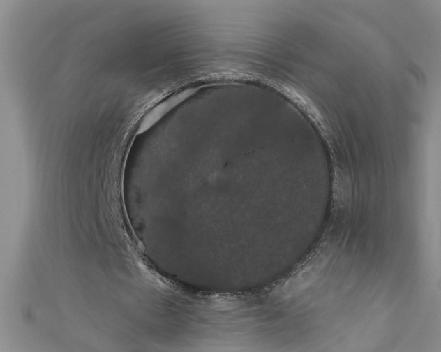 X0000111520481200907141511