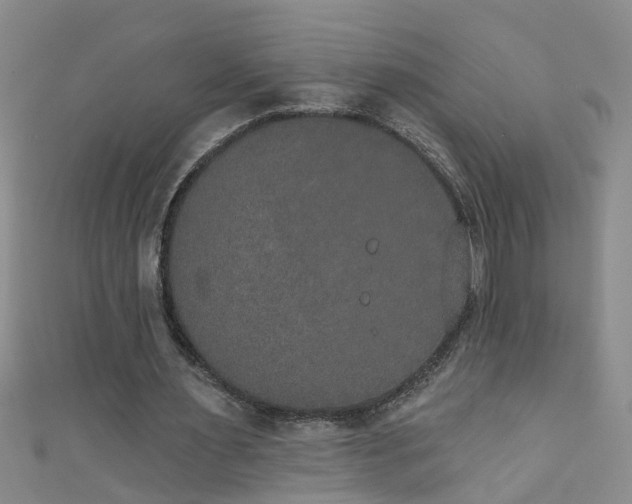 X0000111520483200907141511